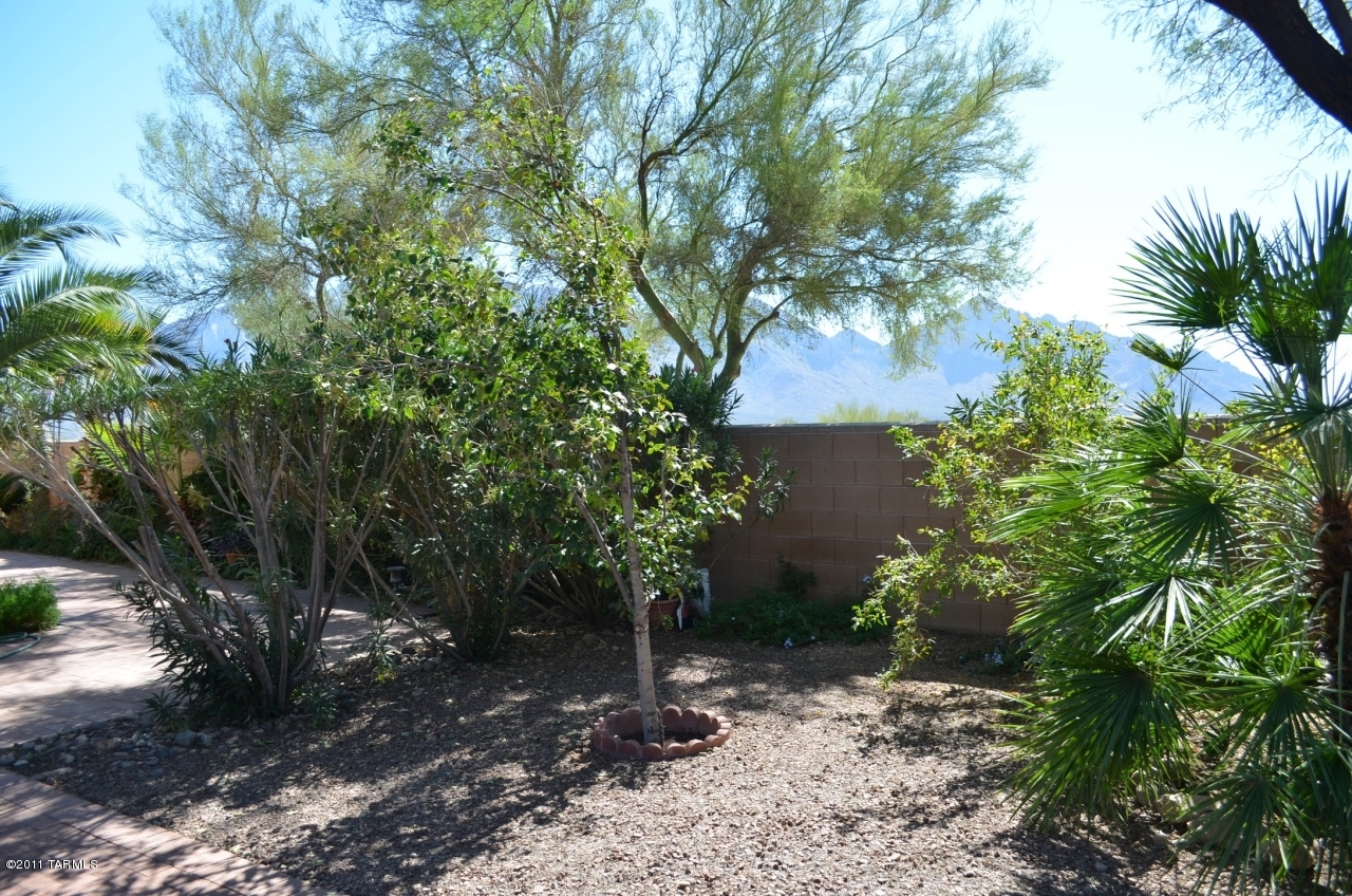 12125 N New Dawn Avenue