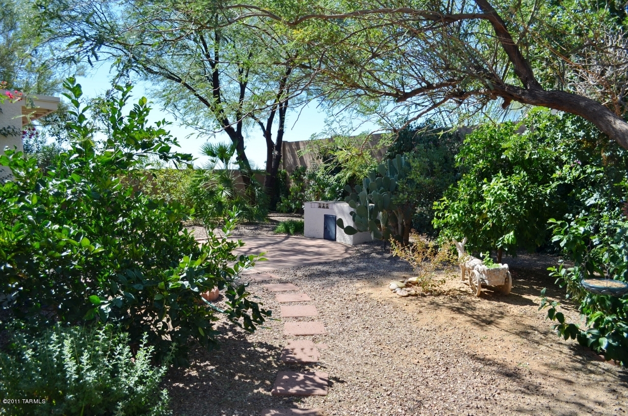 12125 N New Dawn Avenue