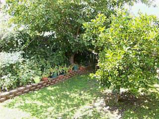 10240 E Calle Magdalena