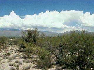 660 N Tanque Verde Loop Road