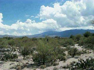 660 N Tanque Verde Loop Road