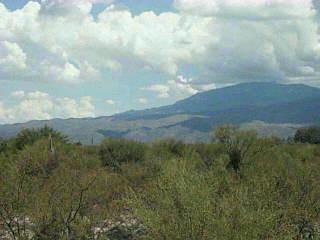 660 N Tanque Verde Loop Road