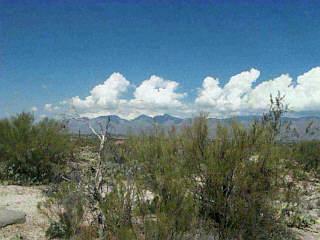 660 N Tanque Verde Loop Road