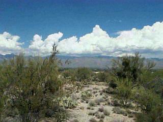 660 N Tanque Verde Loop Road