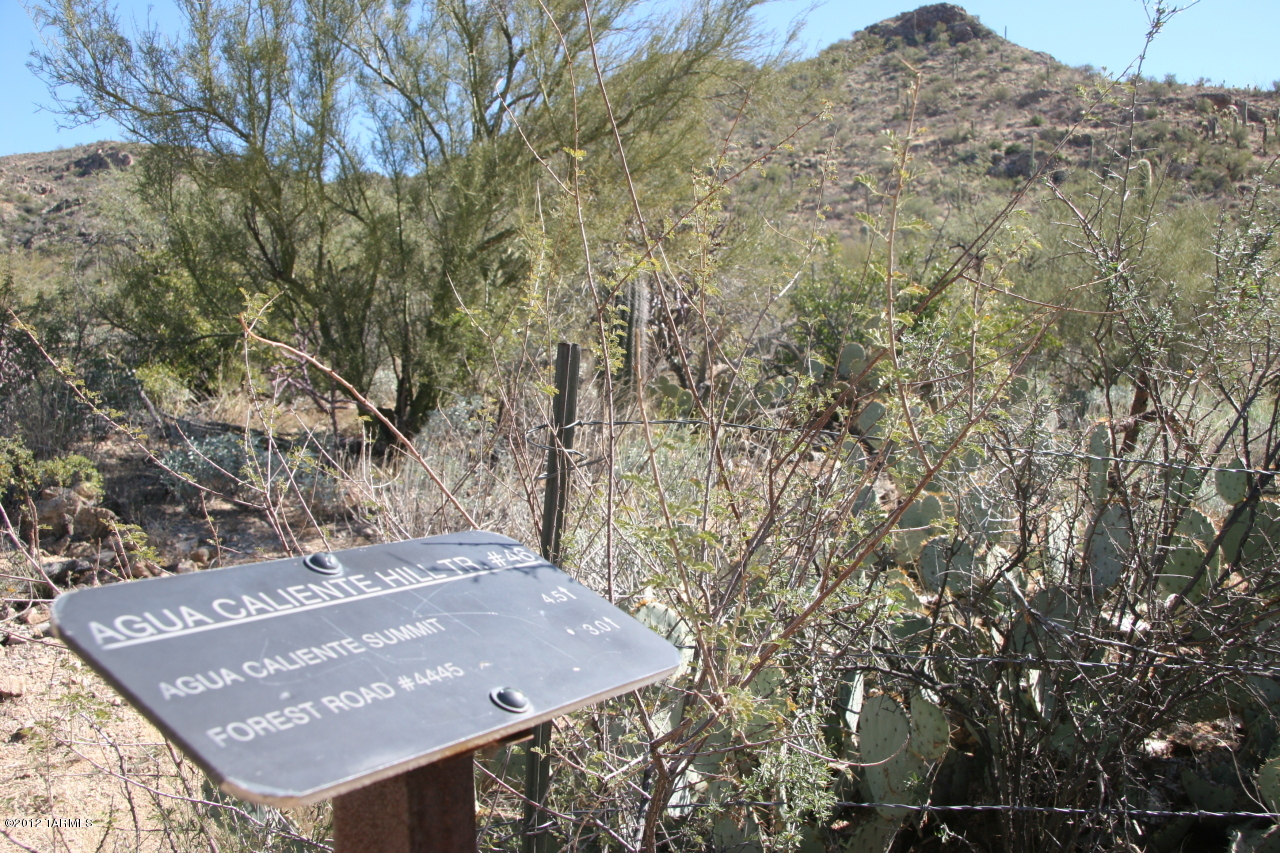 13001 E Camino Remuda