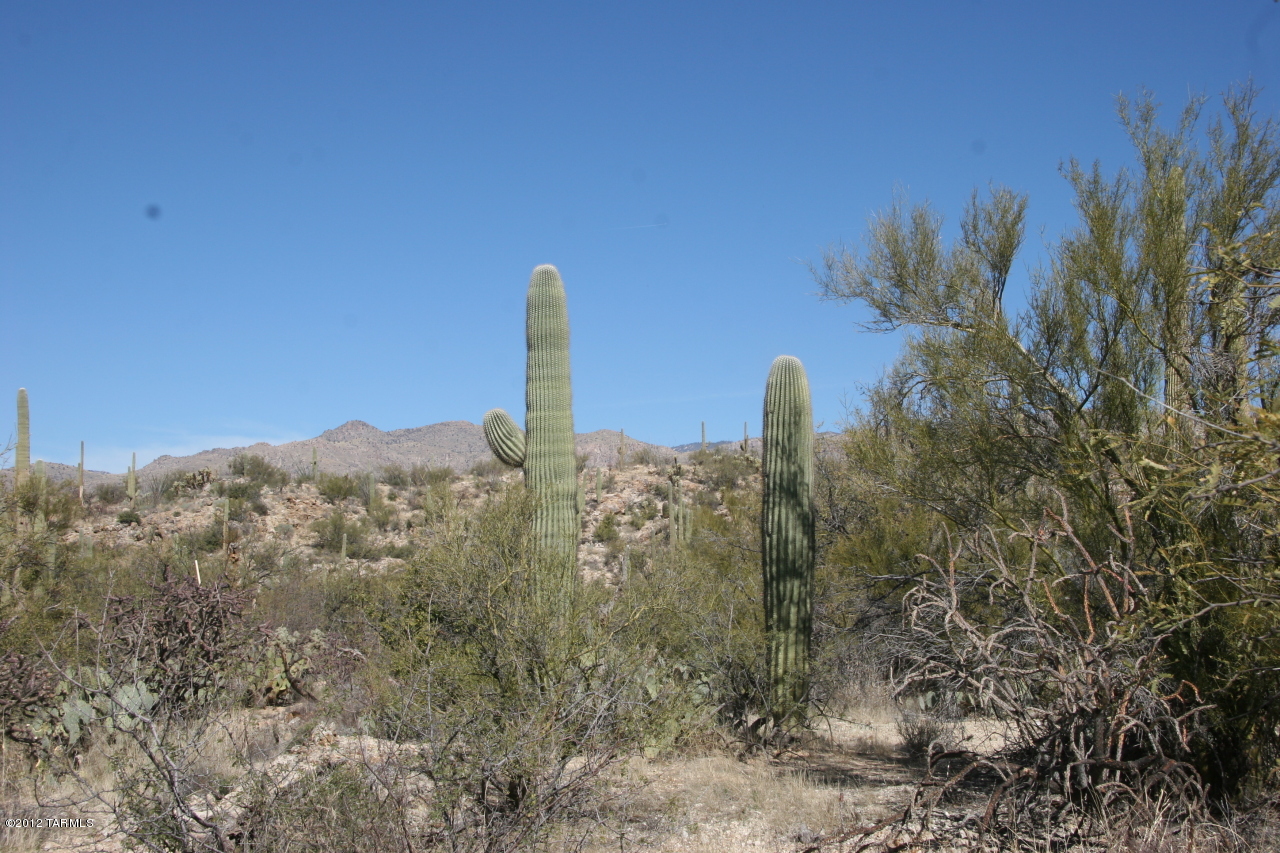 13001 E Camino Remuda