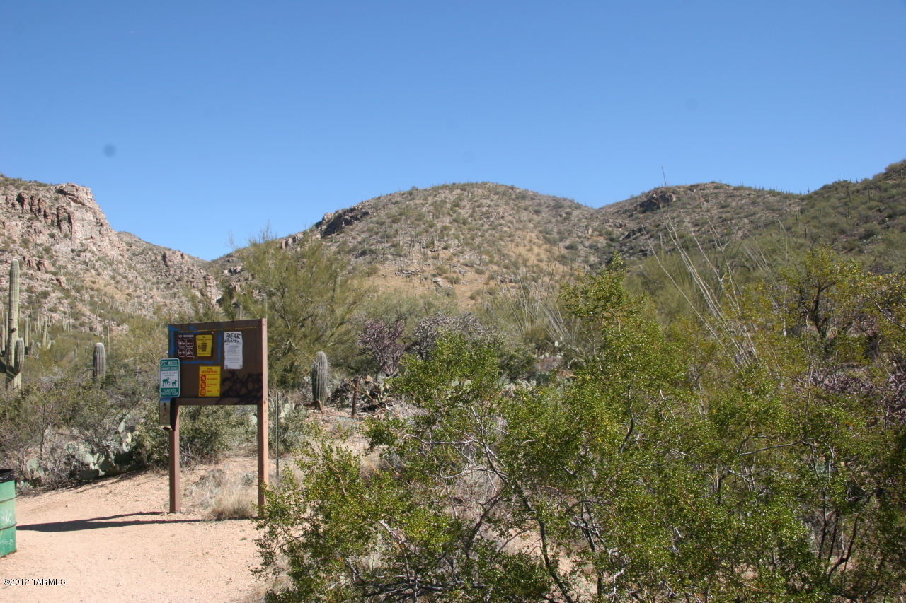 13001 E Camino Remuda