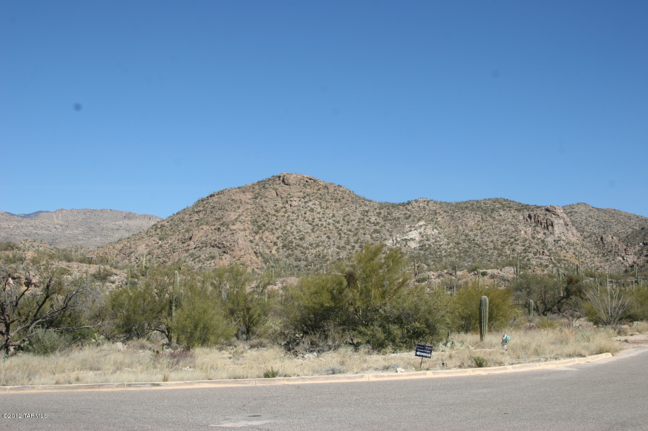 13001 E Camino Remuda