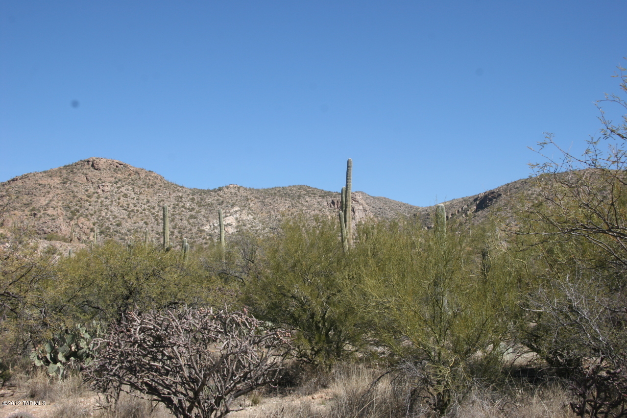 13001 E Camino Remuda