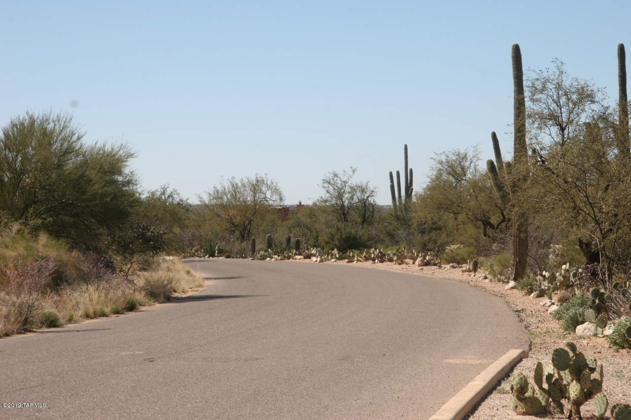 13001 E Camino Remuda