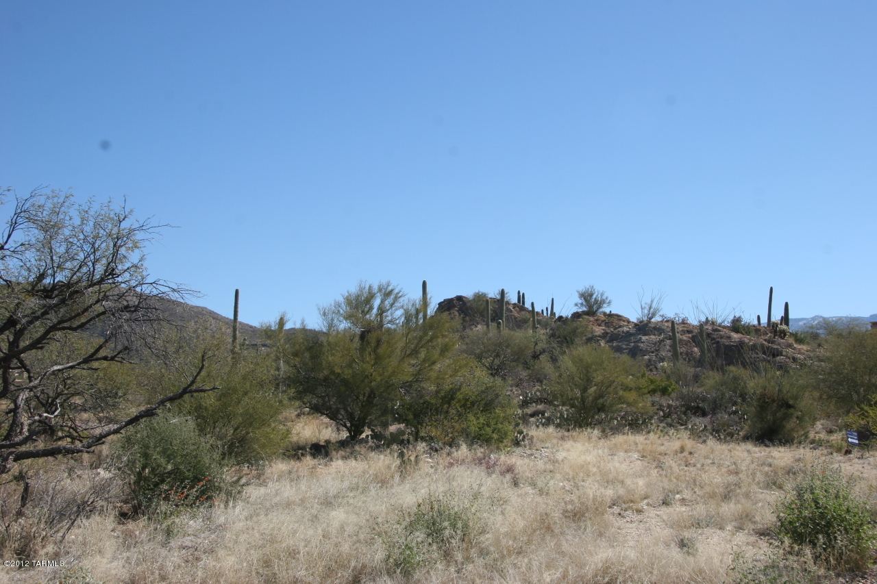 13001 E Camino Remuda