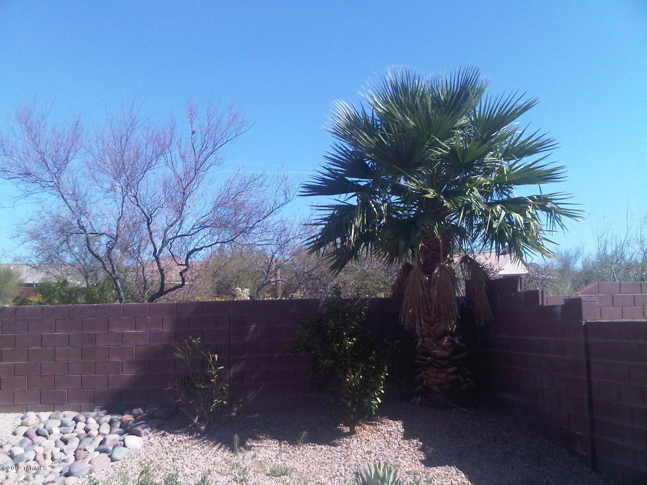 5454 W Dove Of Peace Drive