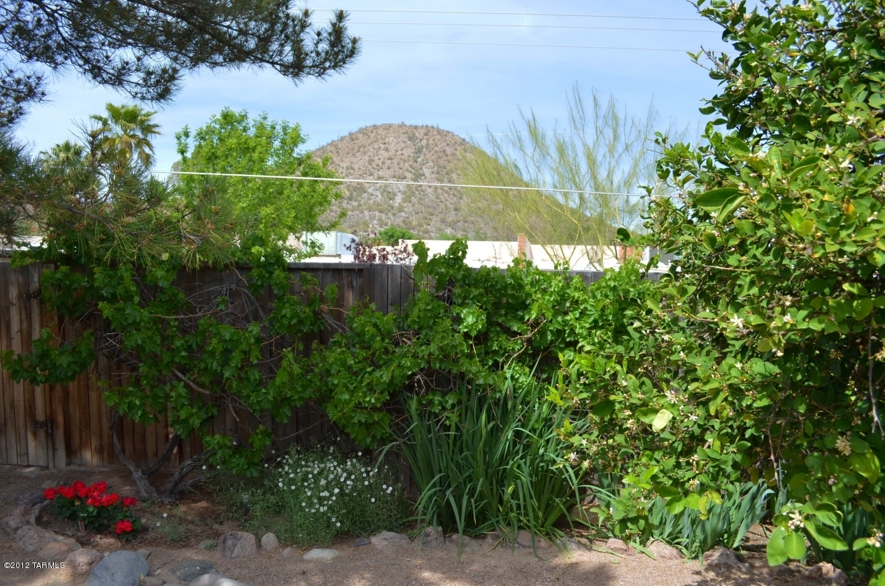 2800 W Desert Crest Drive