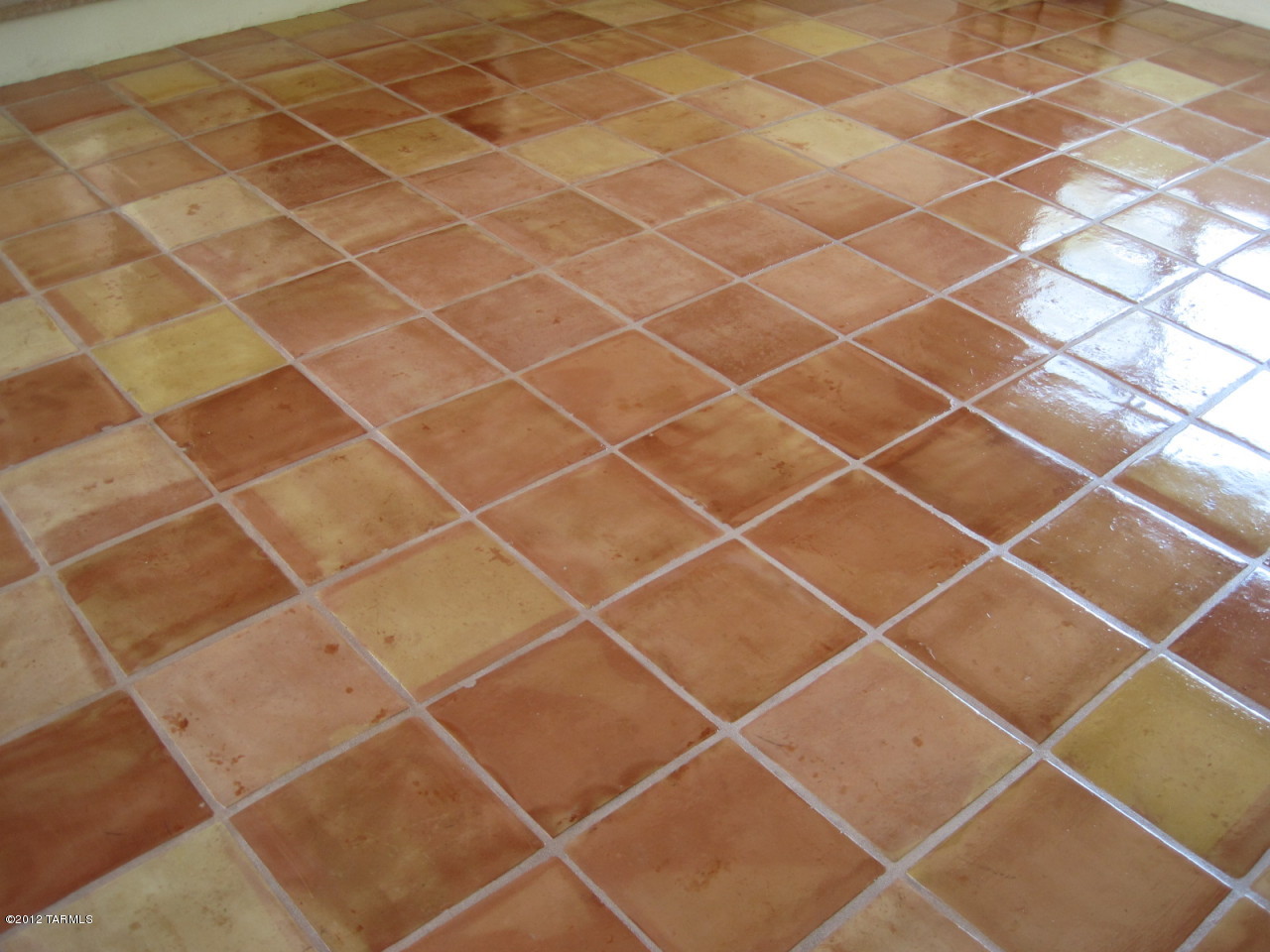 7331 N Oleander Vista