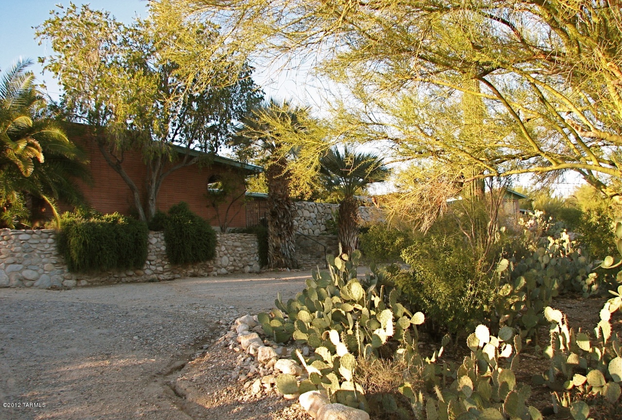 7331 N Oleander Vista