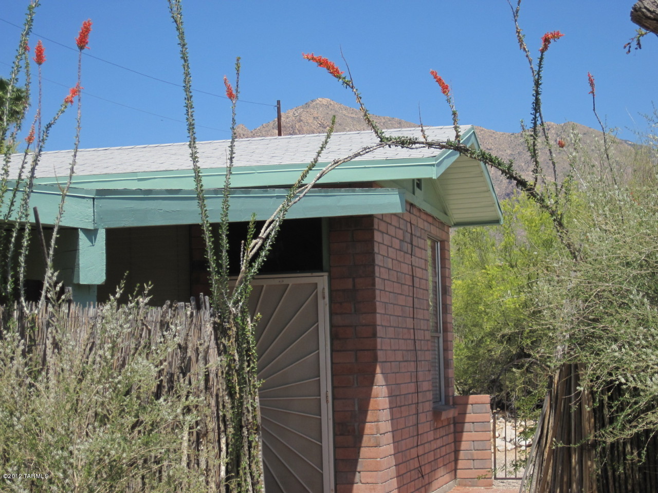 7331 N Oleander Vista