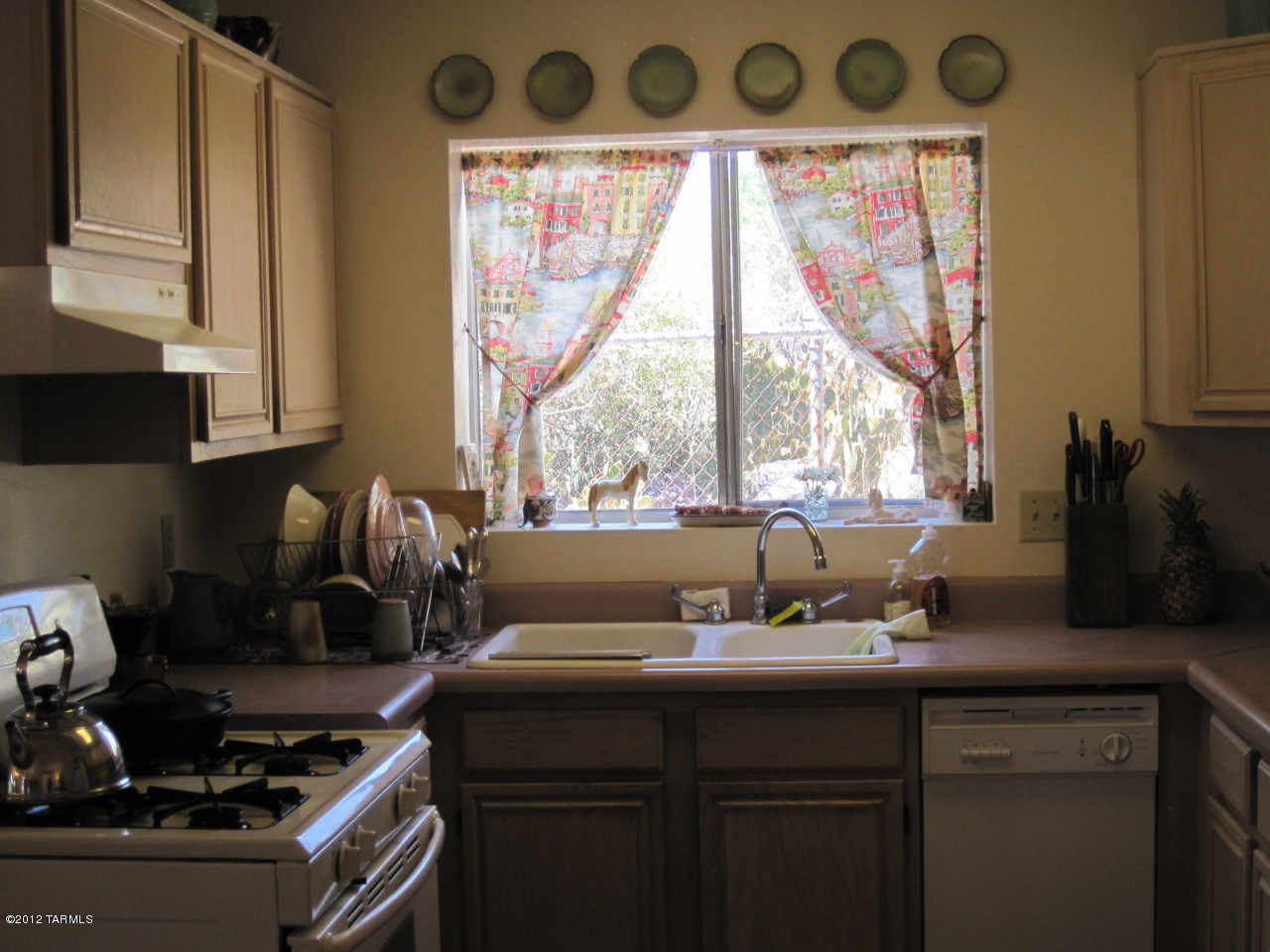 7331 N Oleander Vista