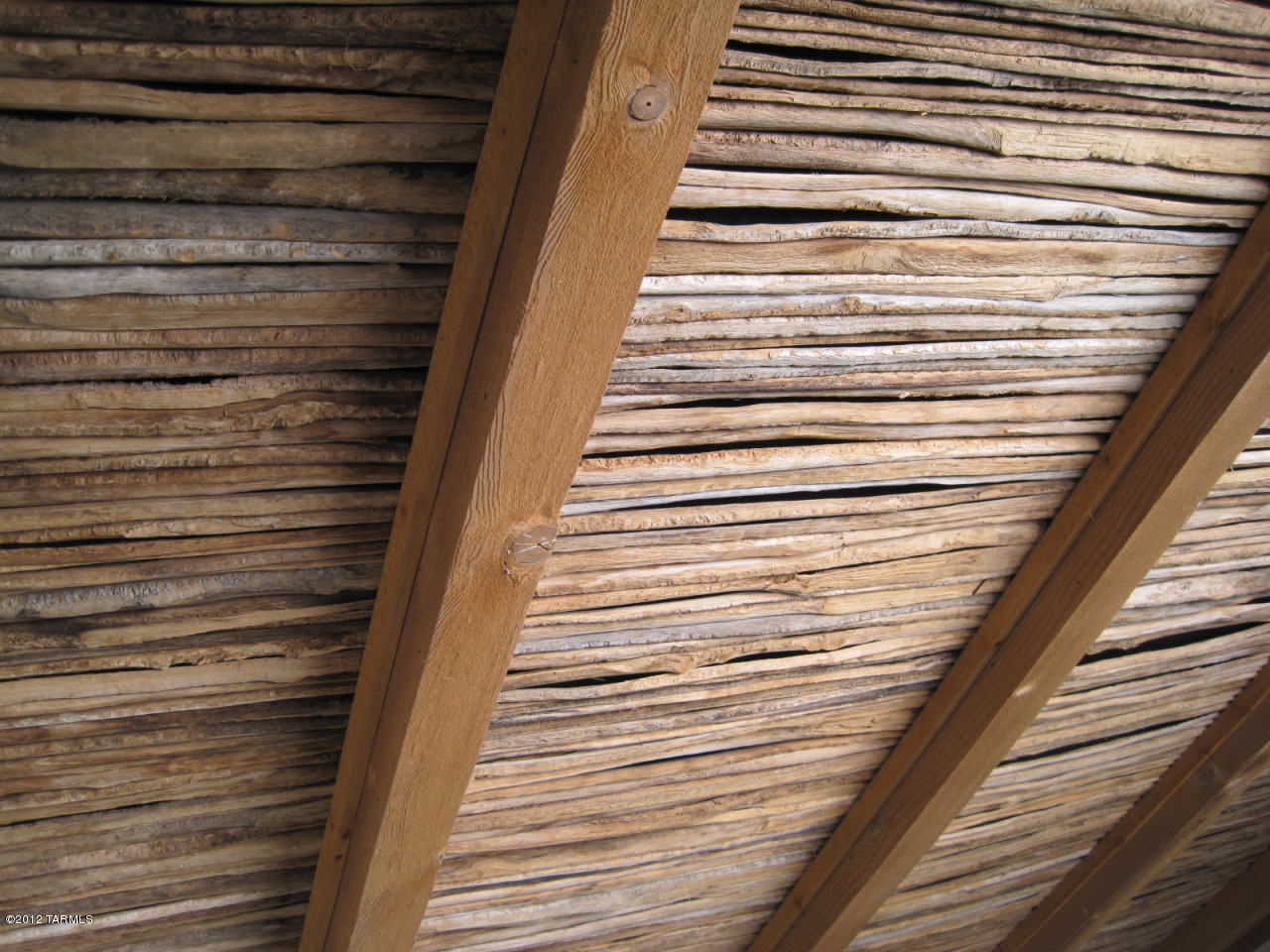 7331 N Oleander Vista