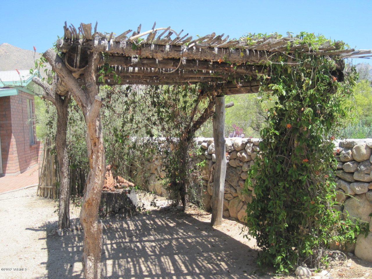 7331 N Oleander Vista