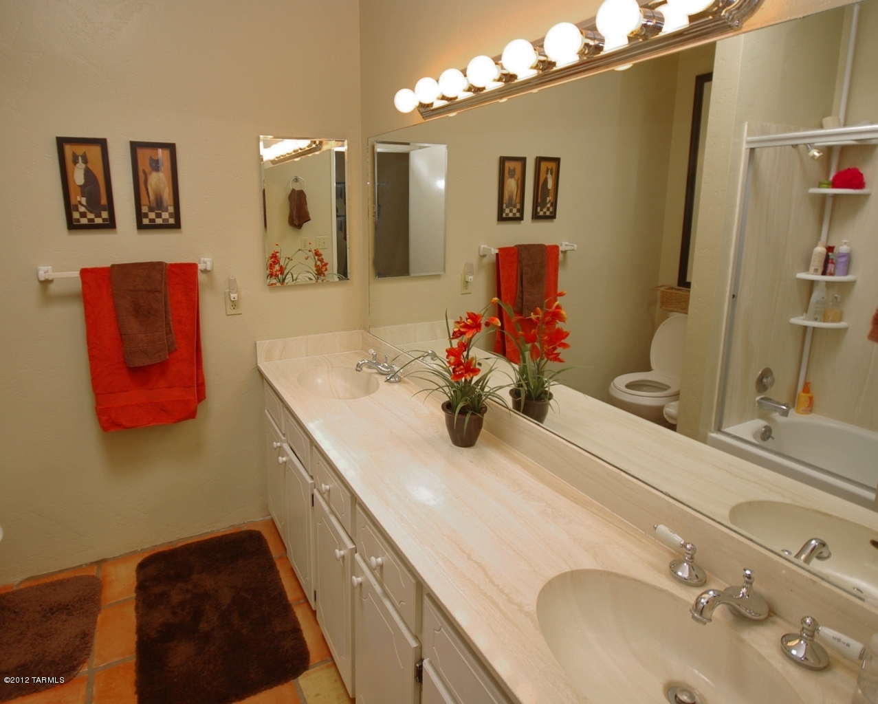 1641 W Chapala Drive