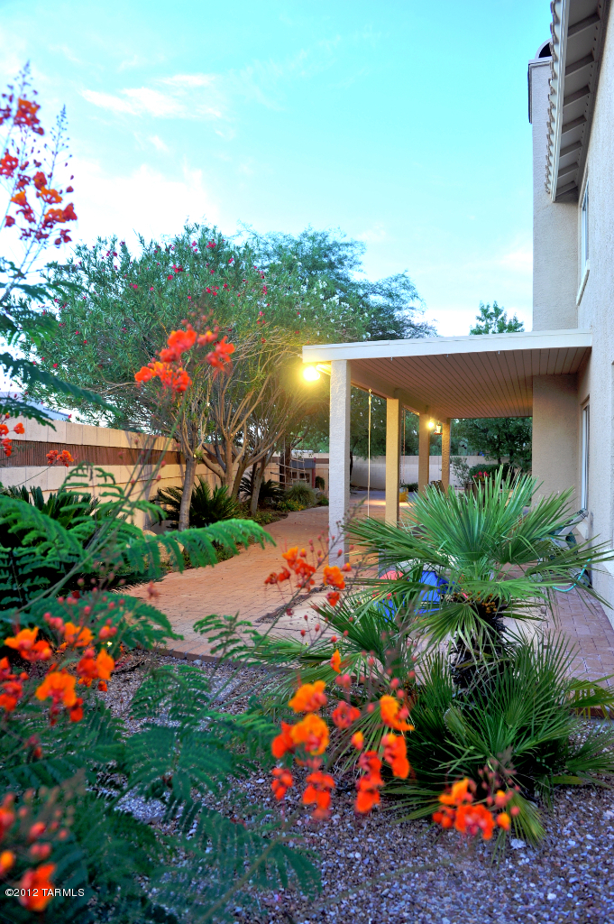 12569 N Wayfarer Way