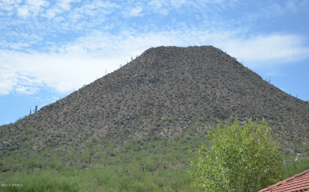 870 N Windbell Circle