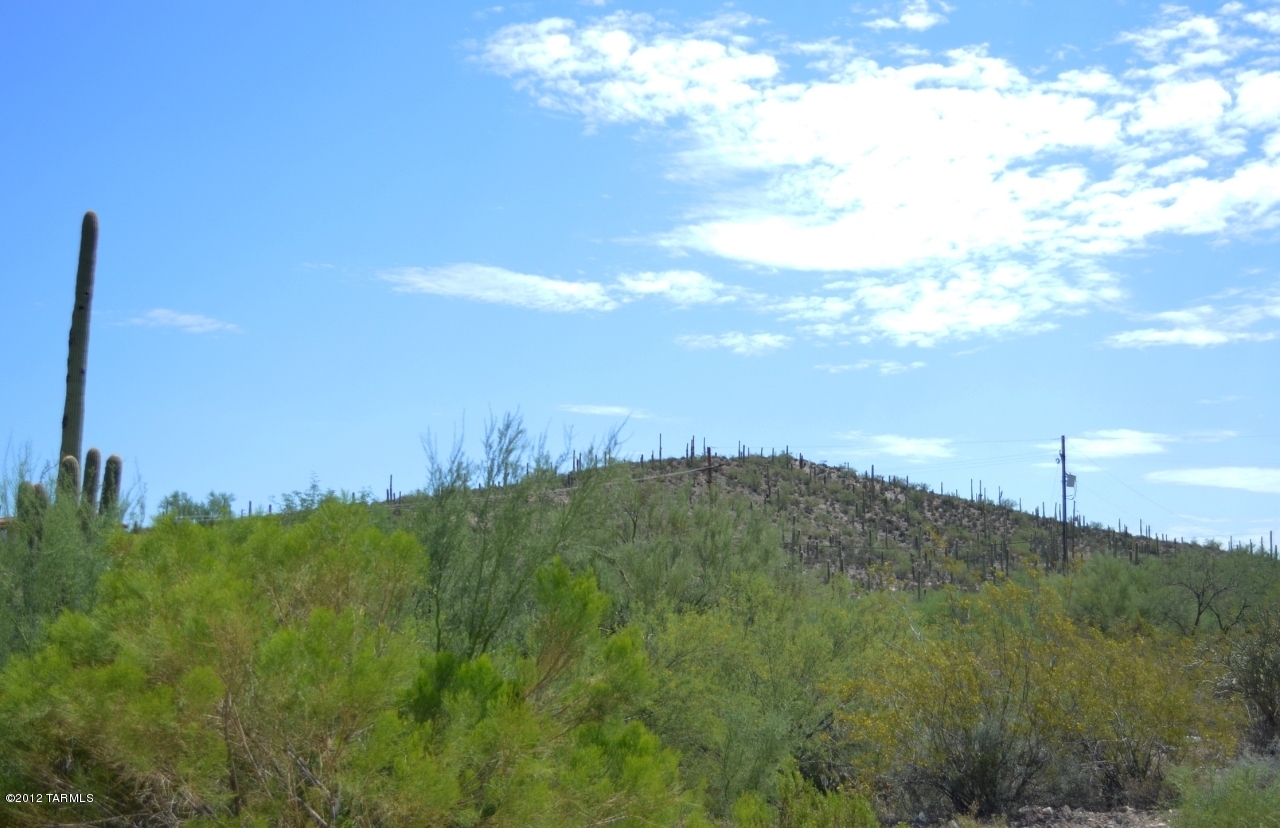 870 N Windbell Circle