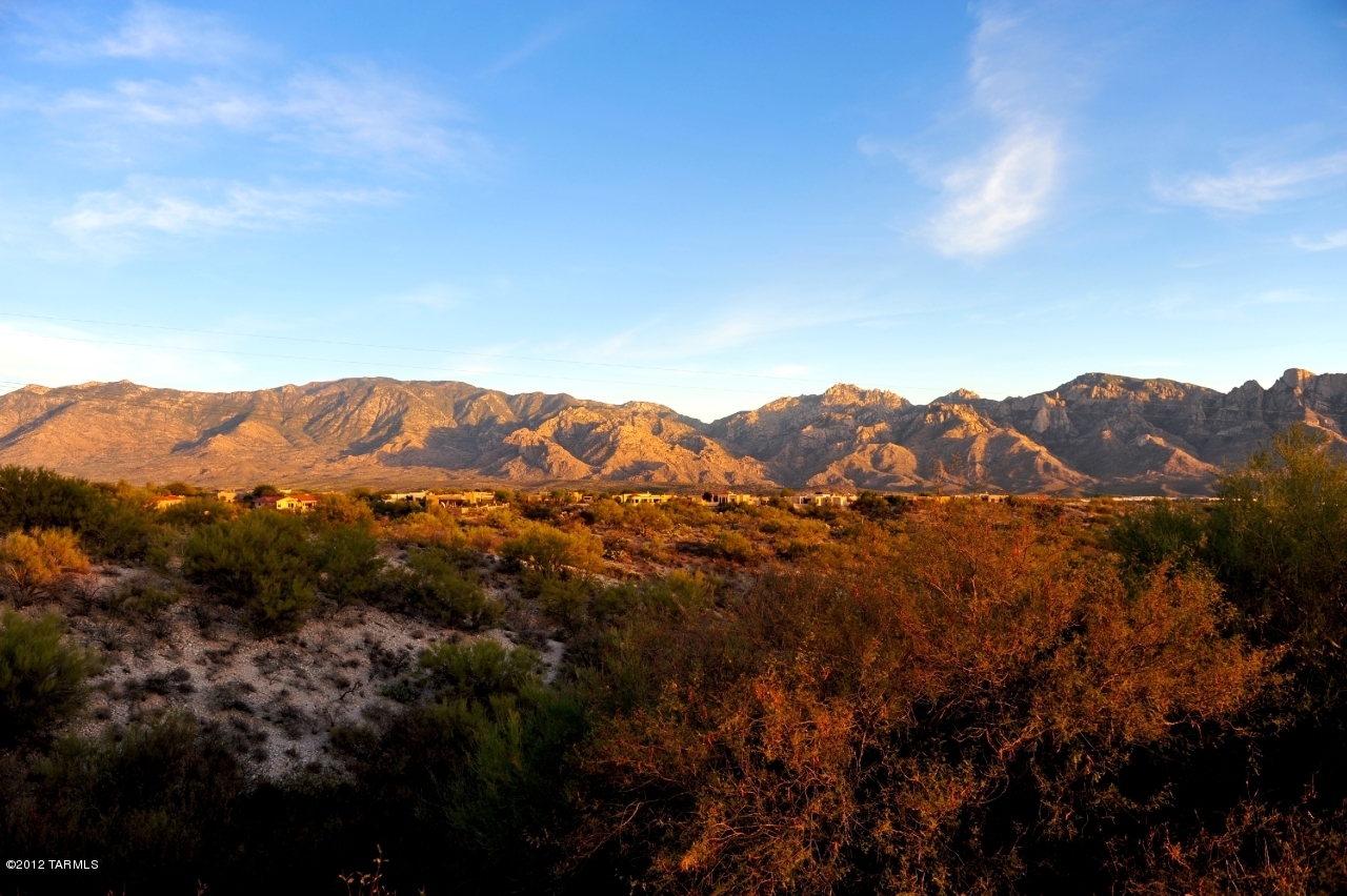 13826 N Silvercreek Place