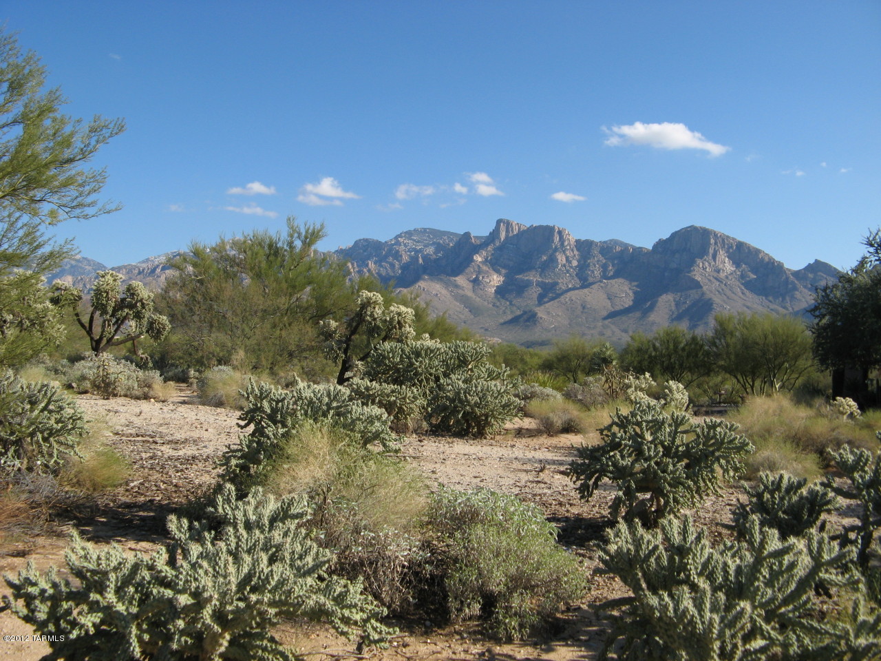 11531 N Copper Mountain Drive