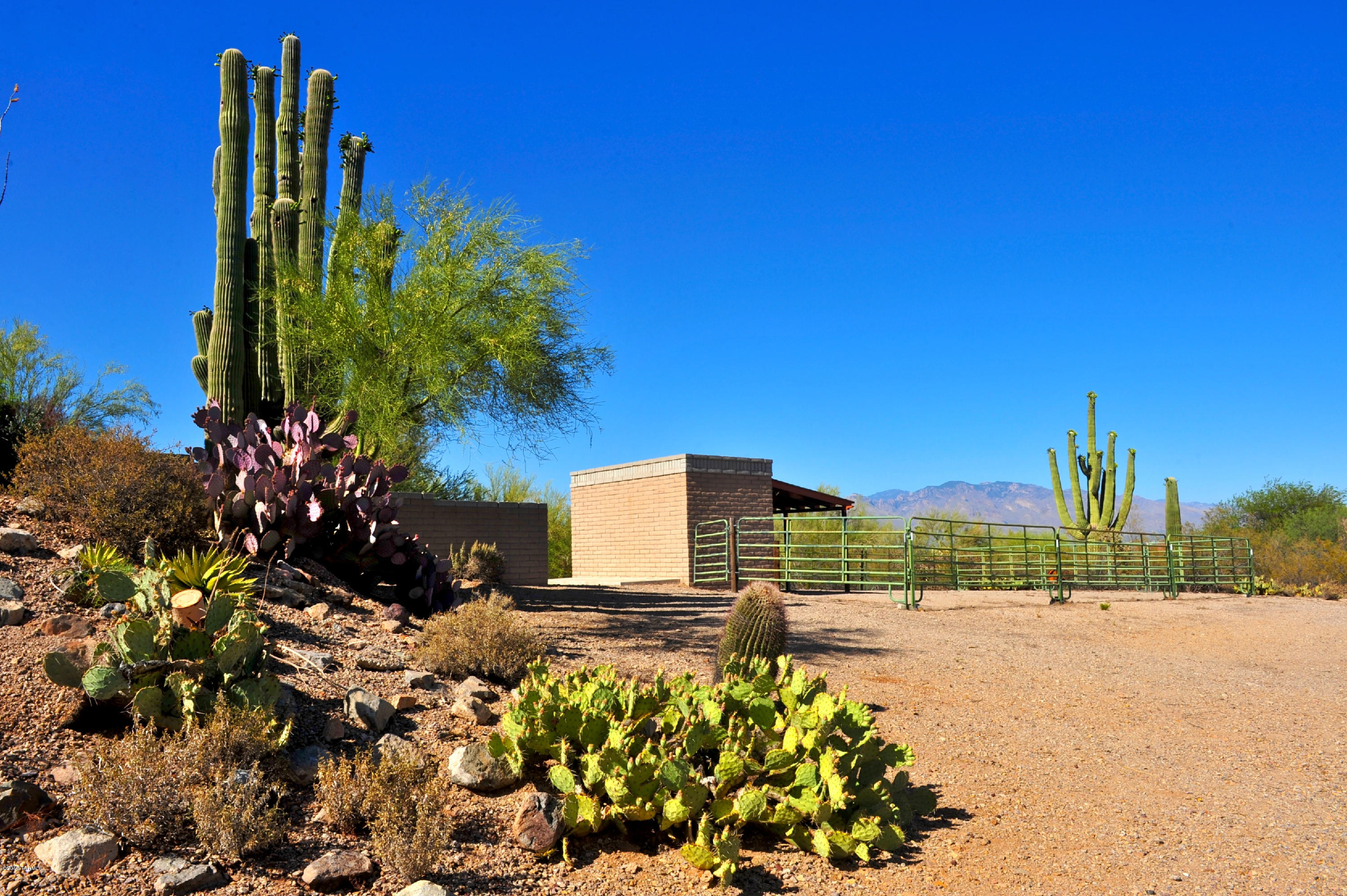 5010 W Placita De Los Vientos