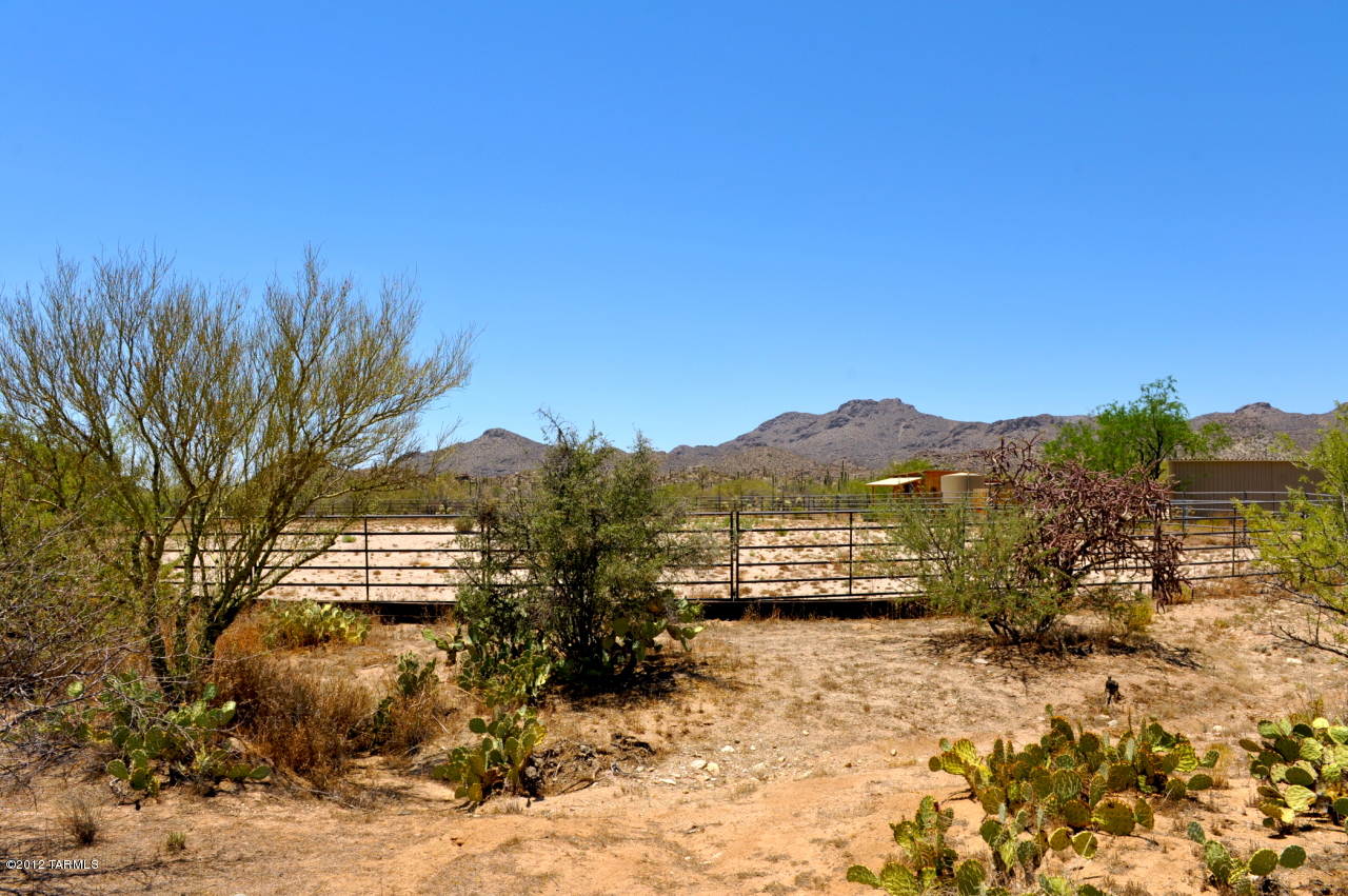 2670 W Cougar Canyon Trail