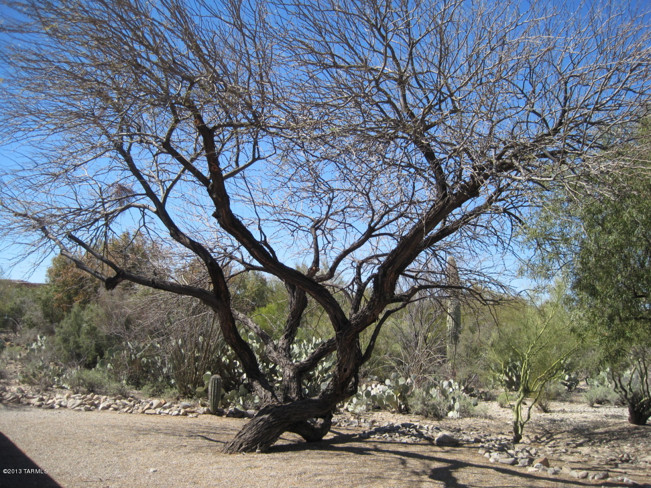 1631 N Blue Ridge Road