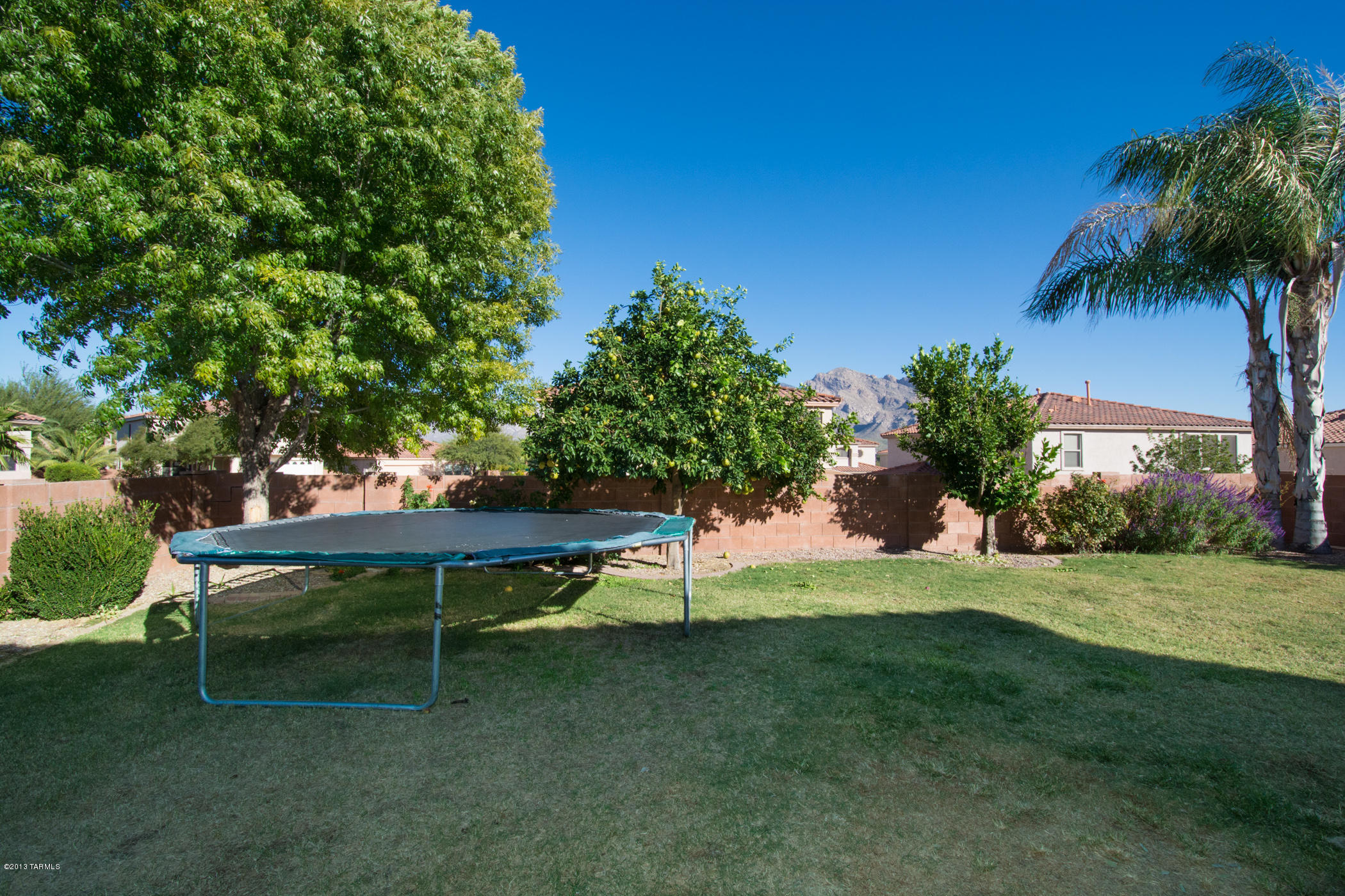 10236 N Nine Iron Drive