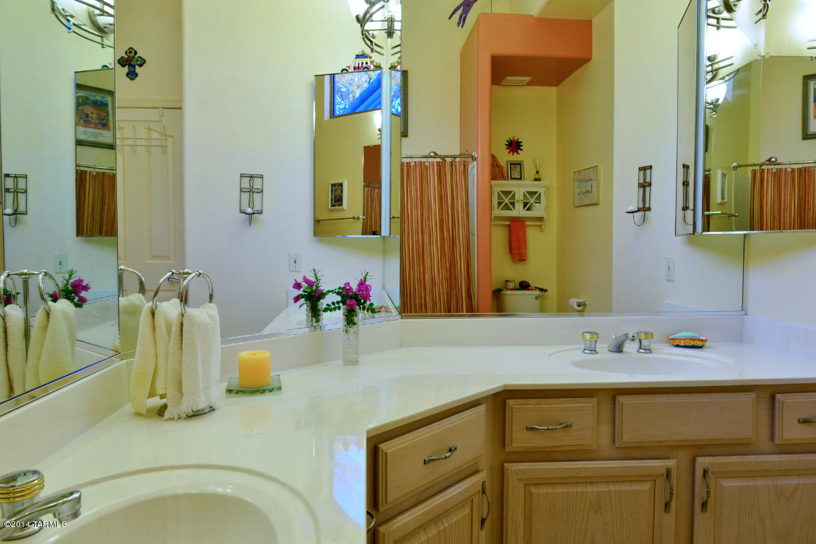 217 W Milbrae Springs Drive