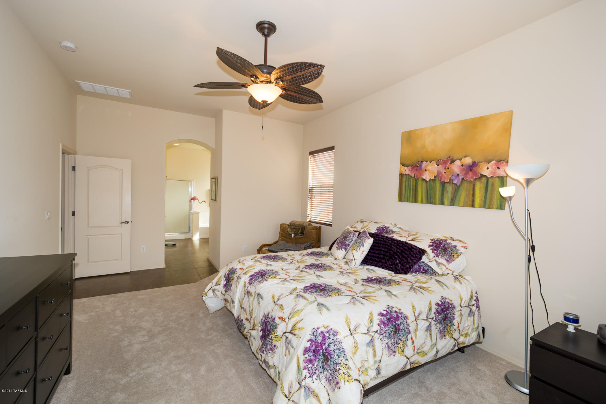 8523 N Shadow Wash Way