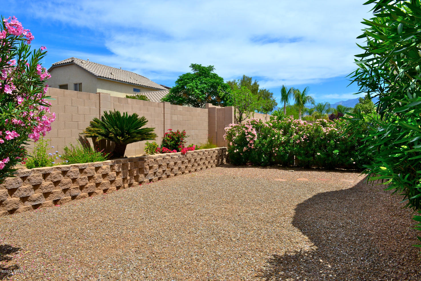 988 W Leatherleaf Drive