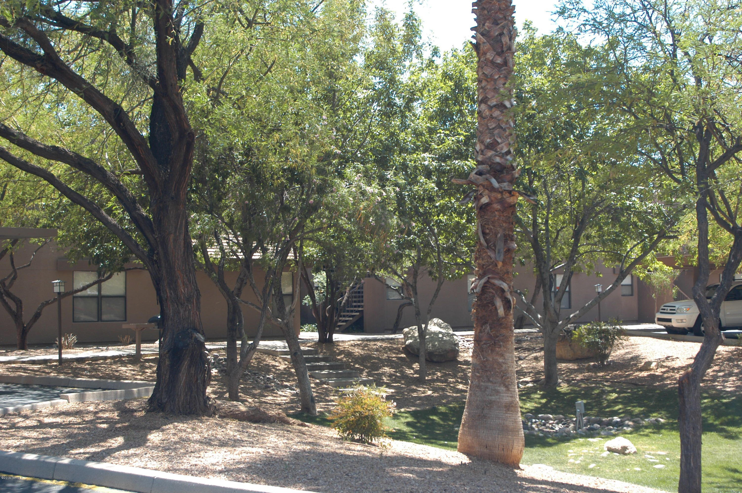 5855 N Kolb Road Unit: 9105w