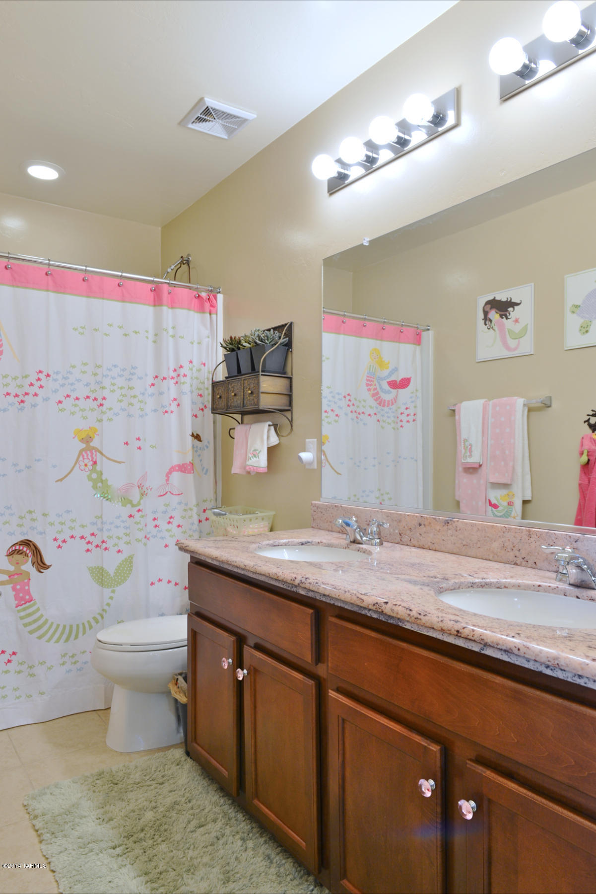 11293 N Adobe Village Place