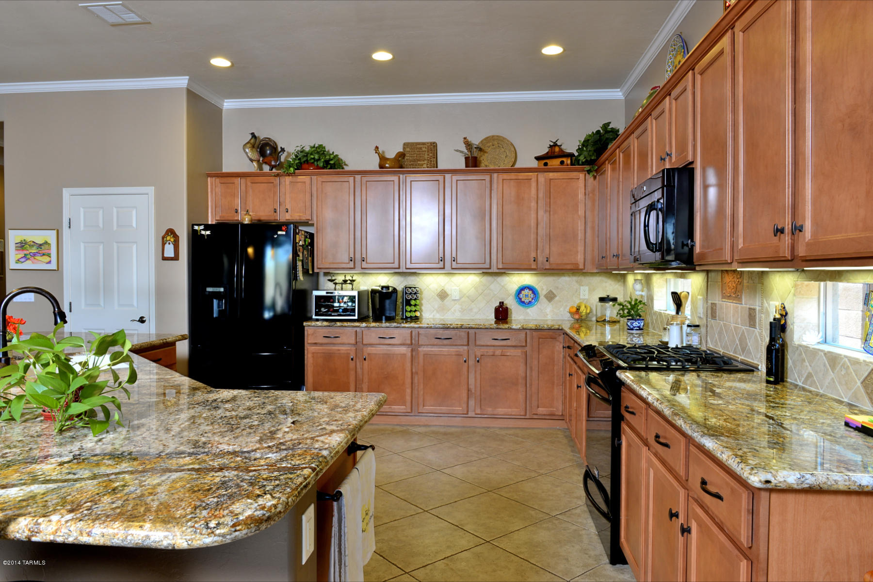 12548 N New Reflection Drive