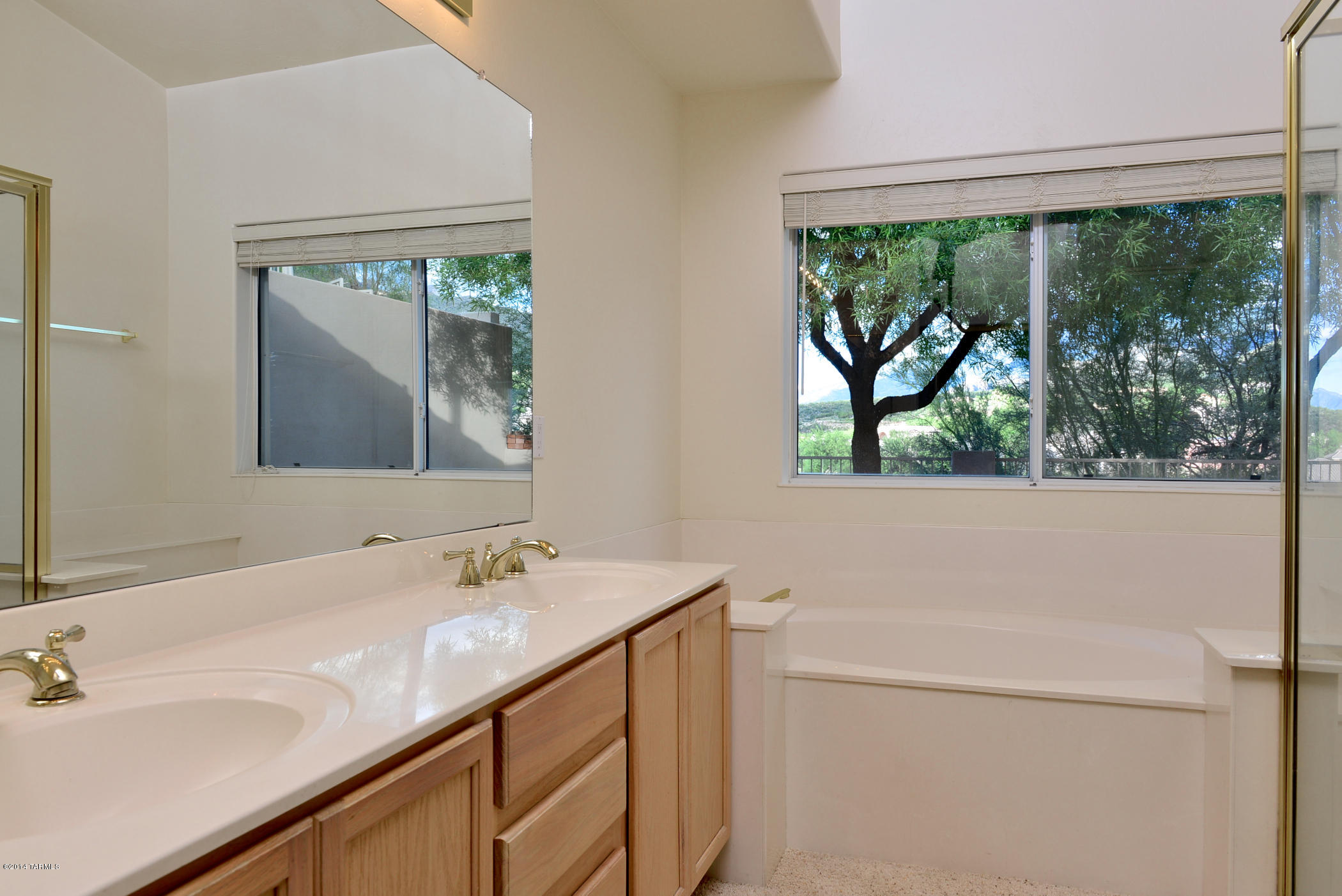 10110 N Bighorn Butte Drive