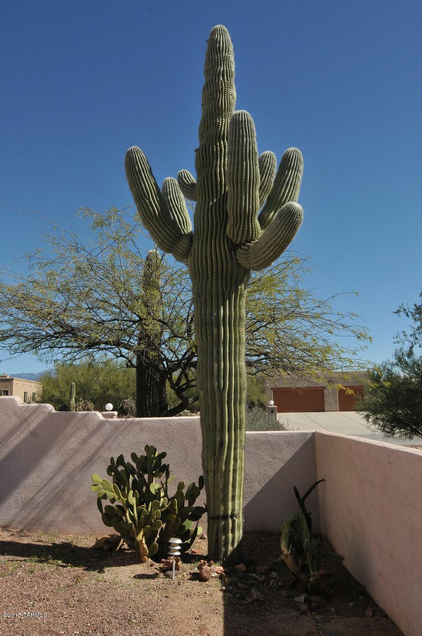 9911 N Sumter Creek Place