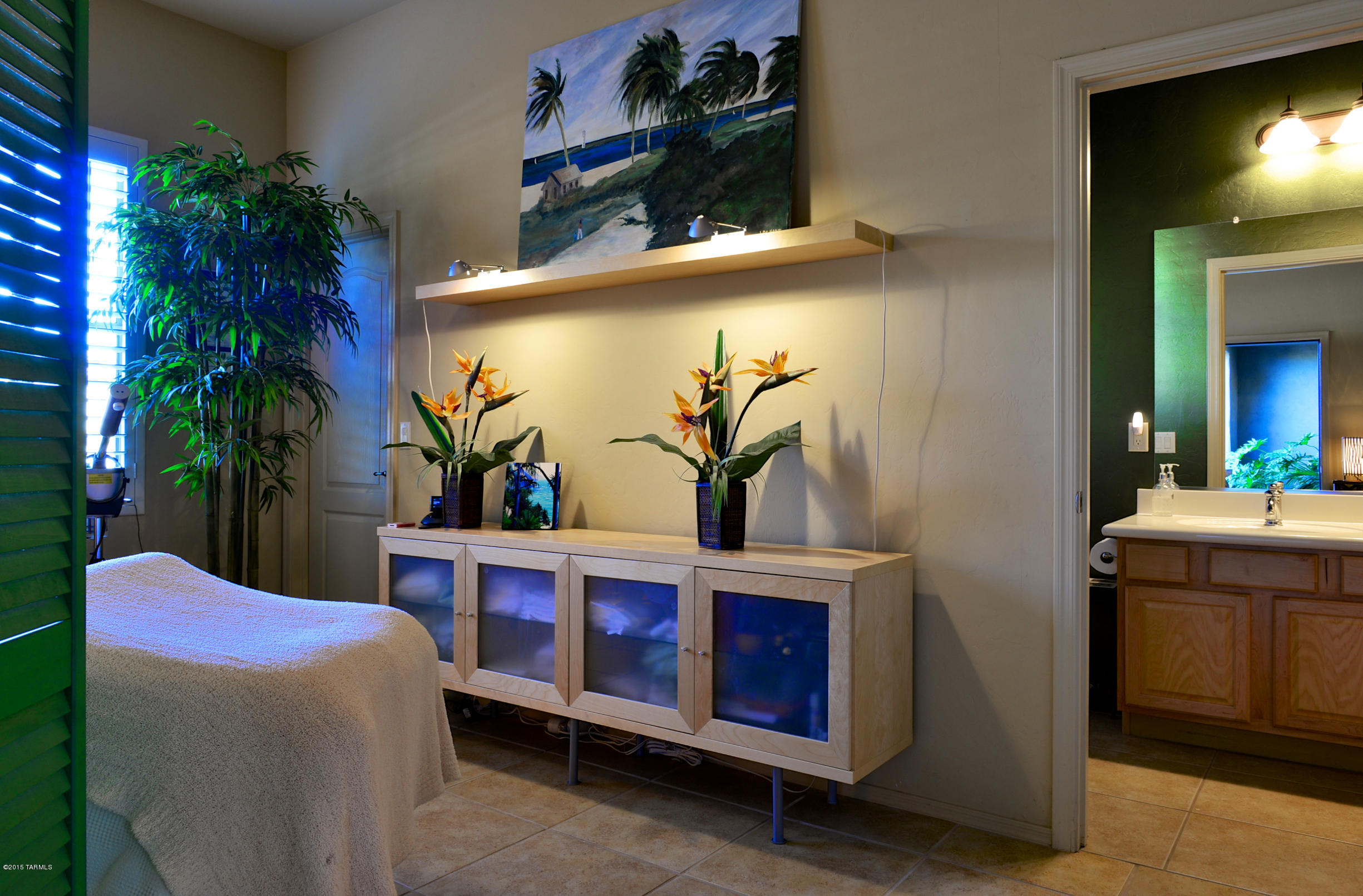 673 W Bright Canyon Drive