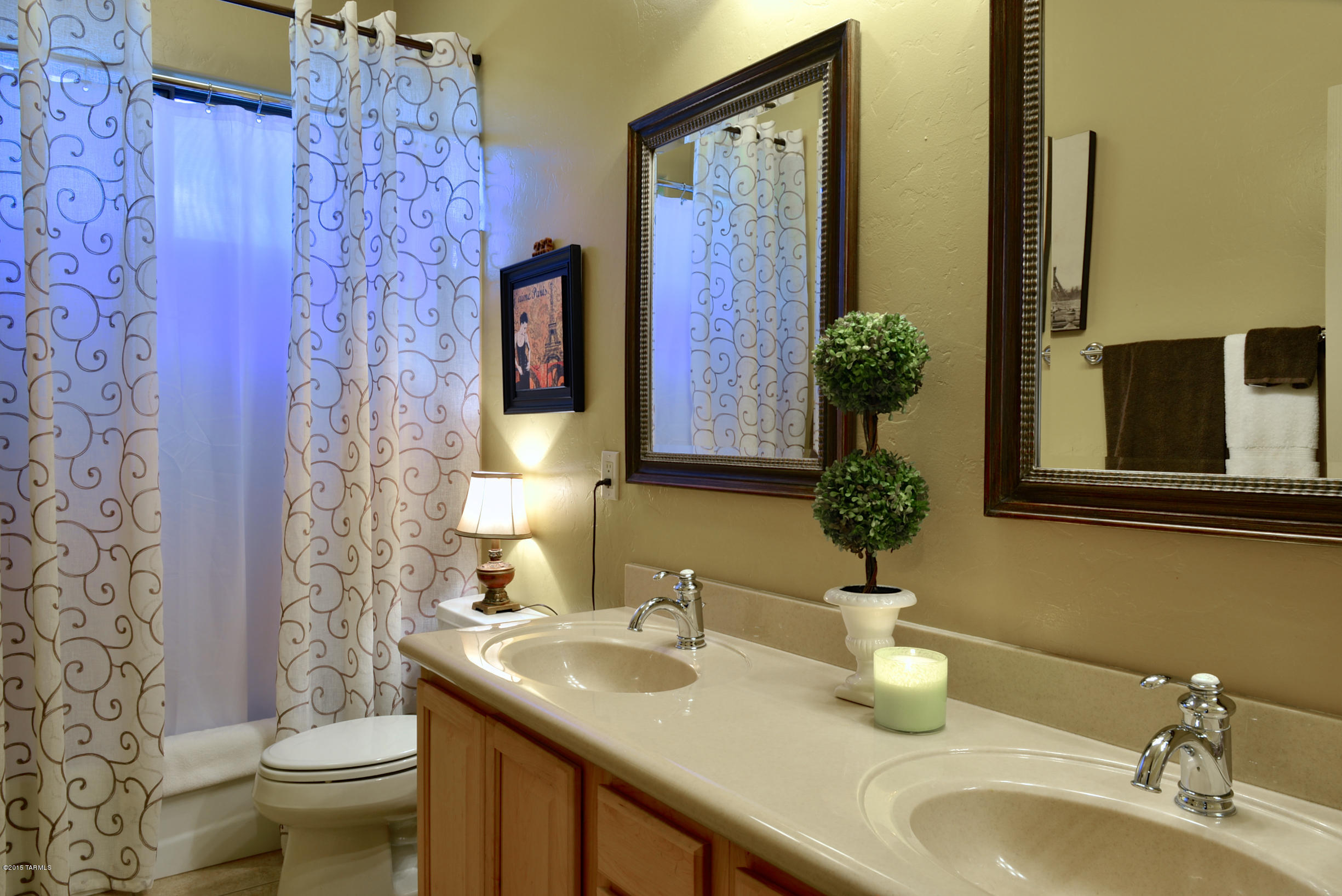 673 W Bright Canyon Drive