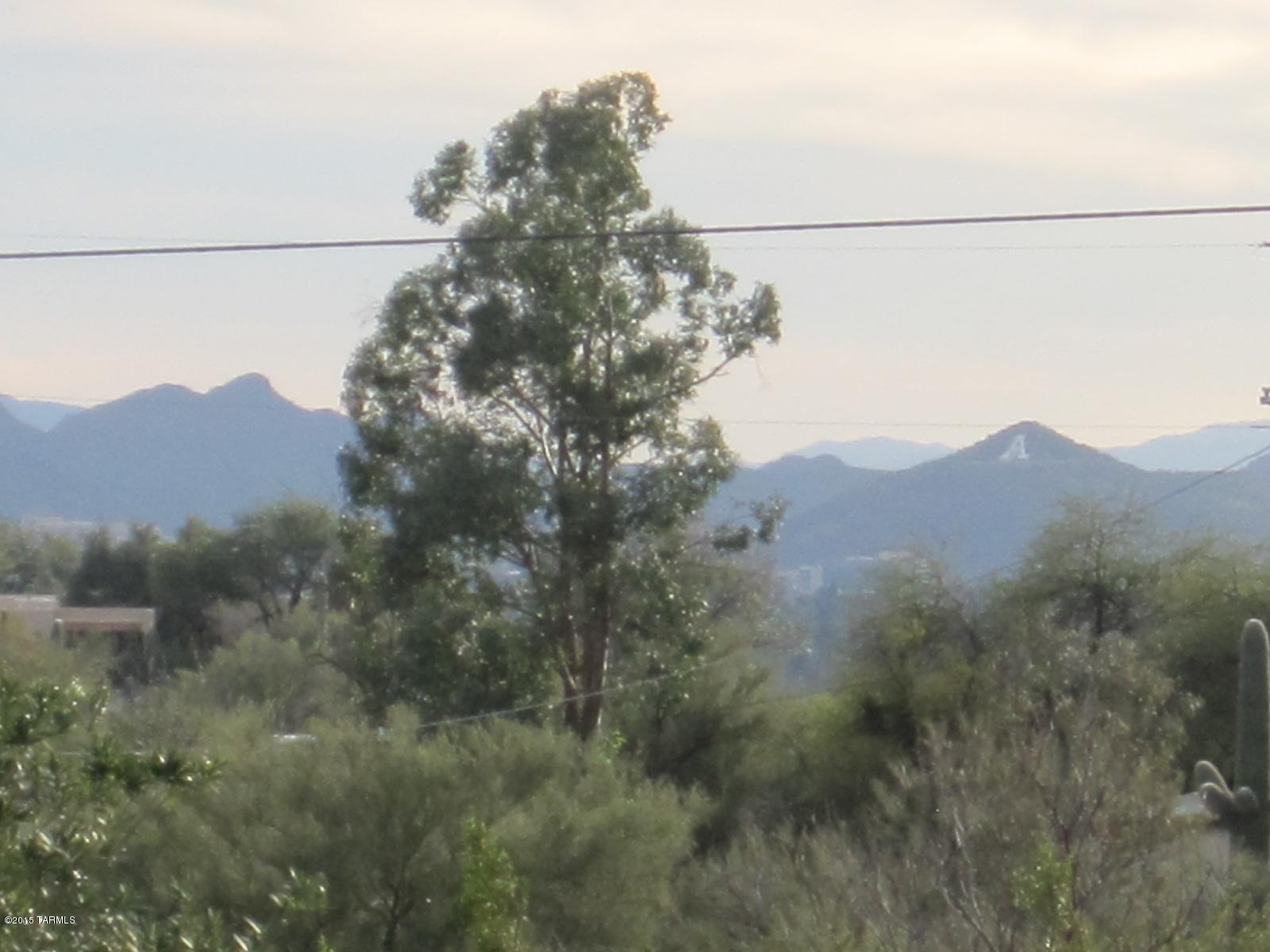 4445 N Avenida De Paz