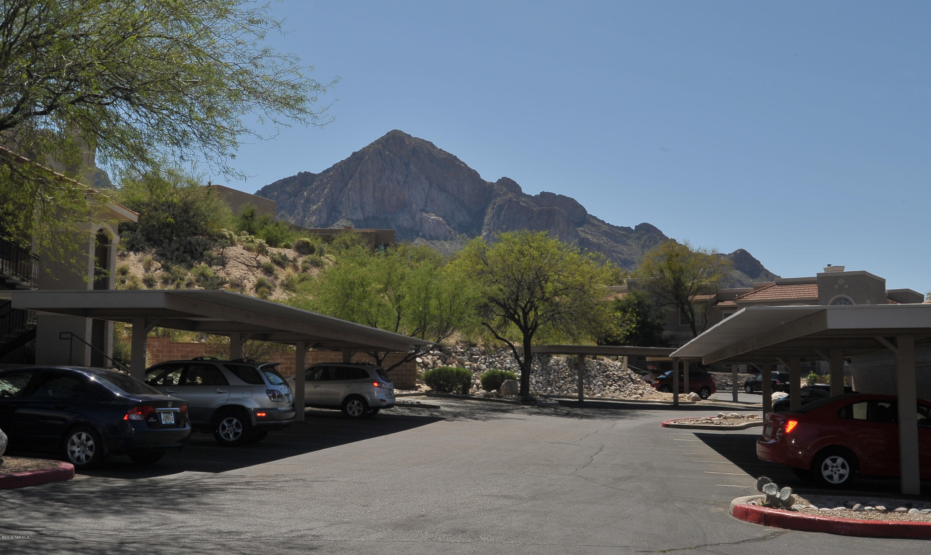 1500 E Pusch Wilderness Drive Unit: 9203