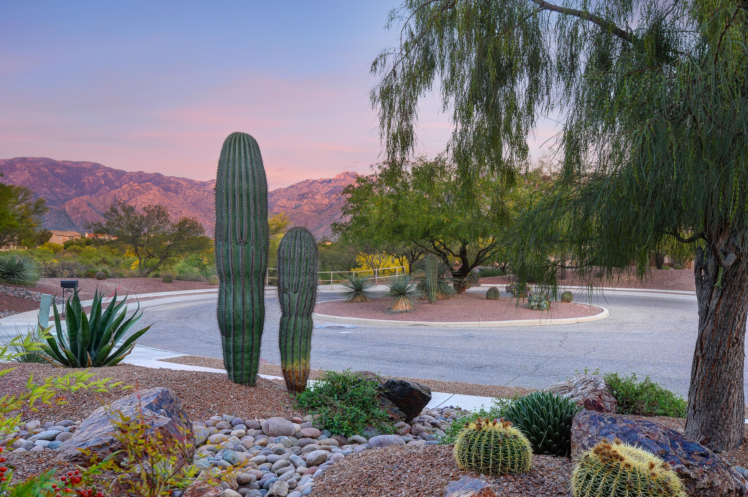 12857 N Mystic View Place