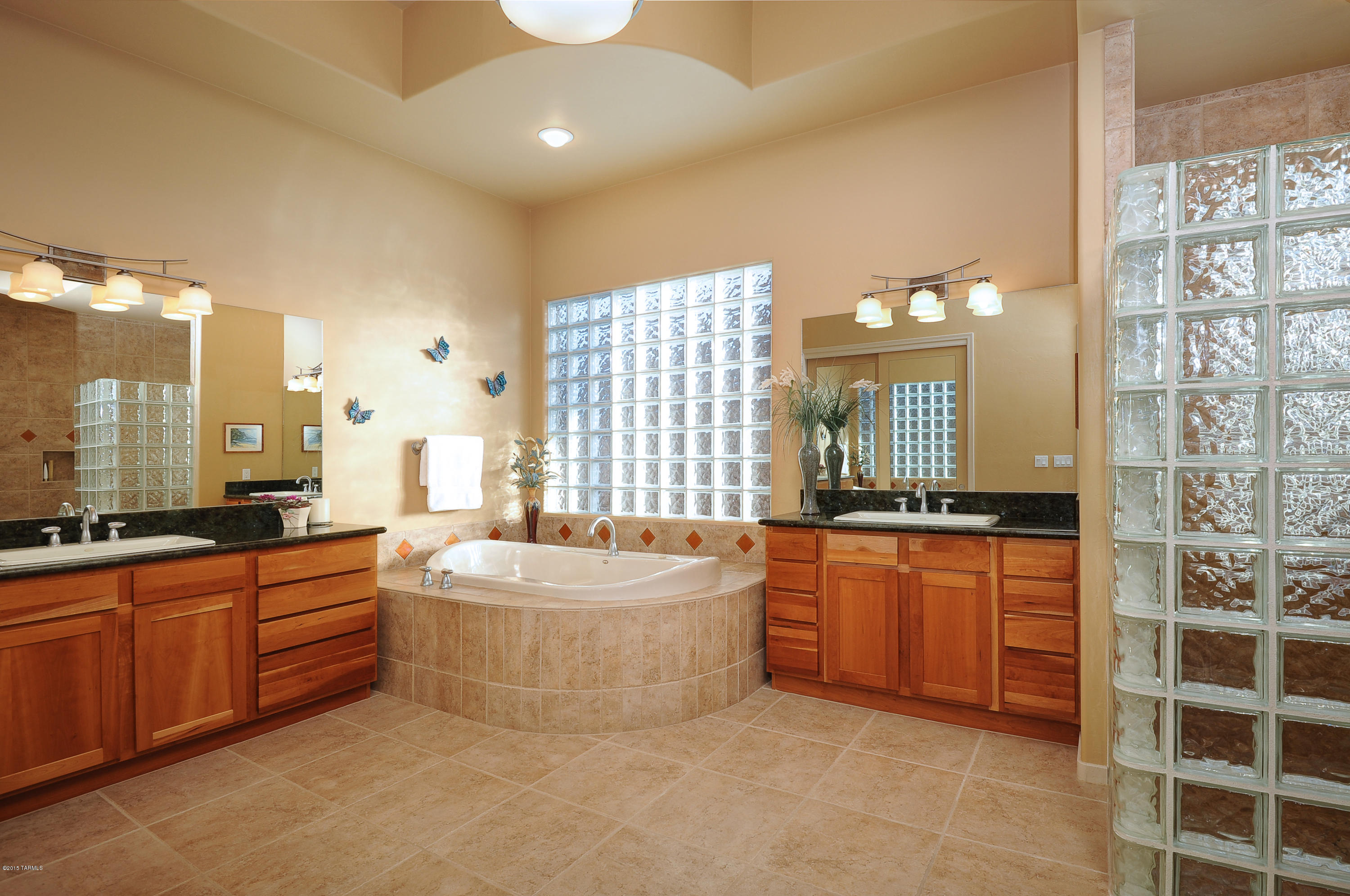 12857 N Mystic View Place