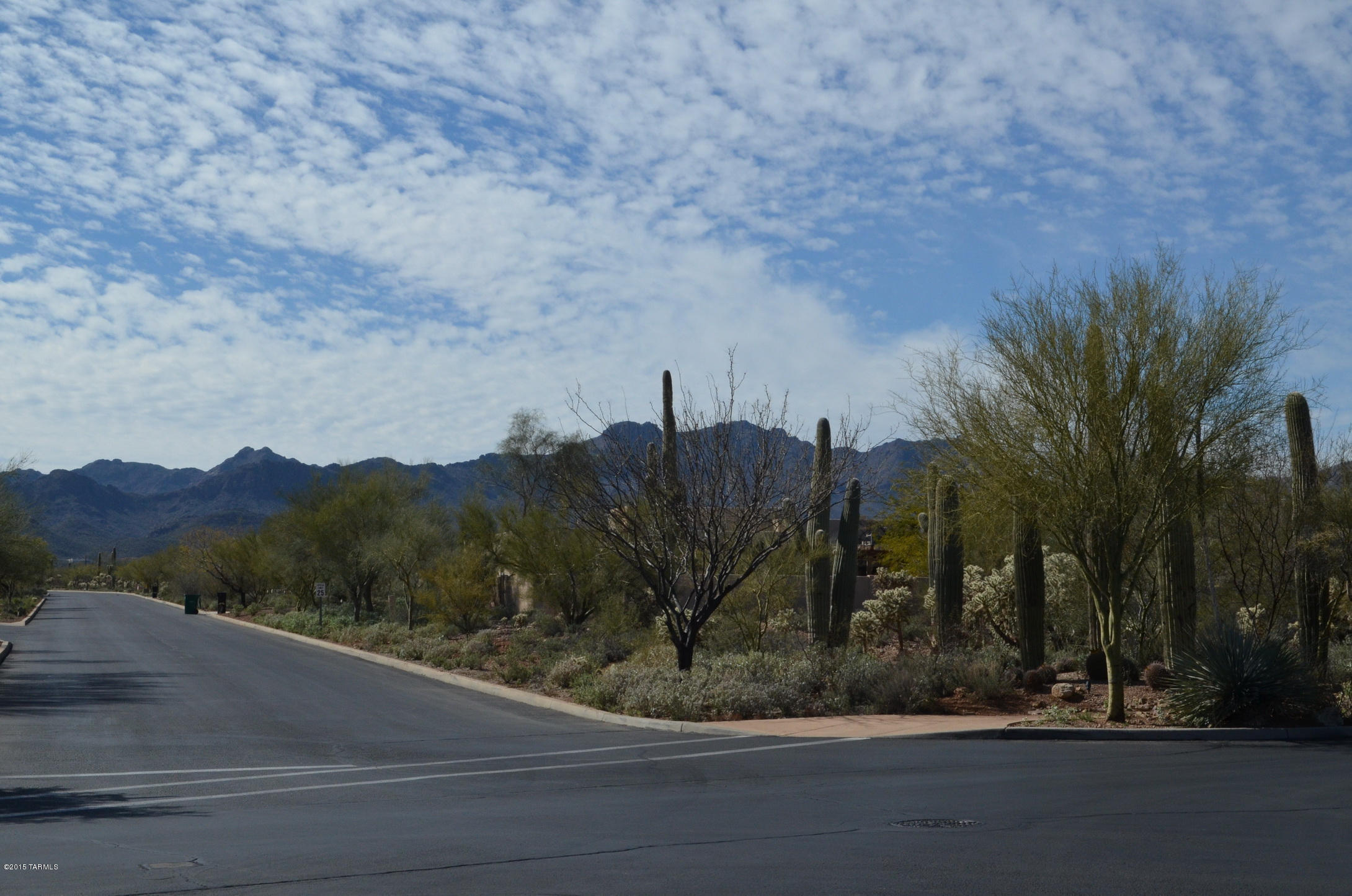 3768 N Nash Creek Court