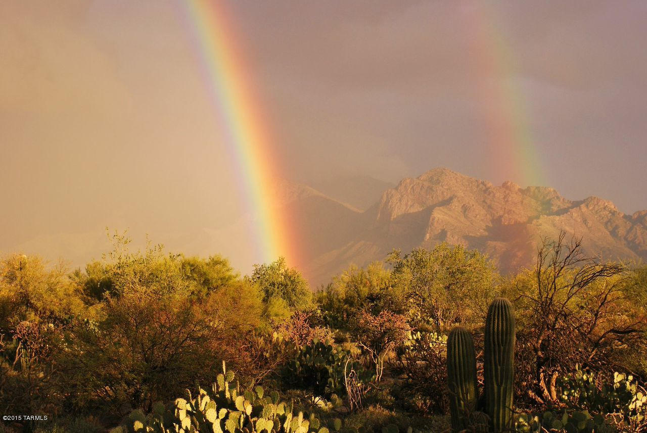 2626 W Desert Splendor Court