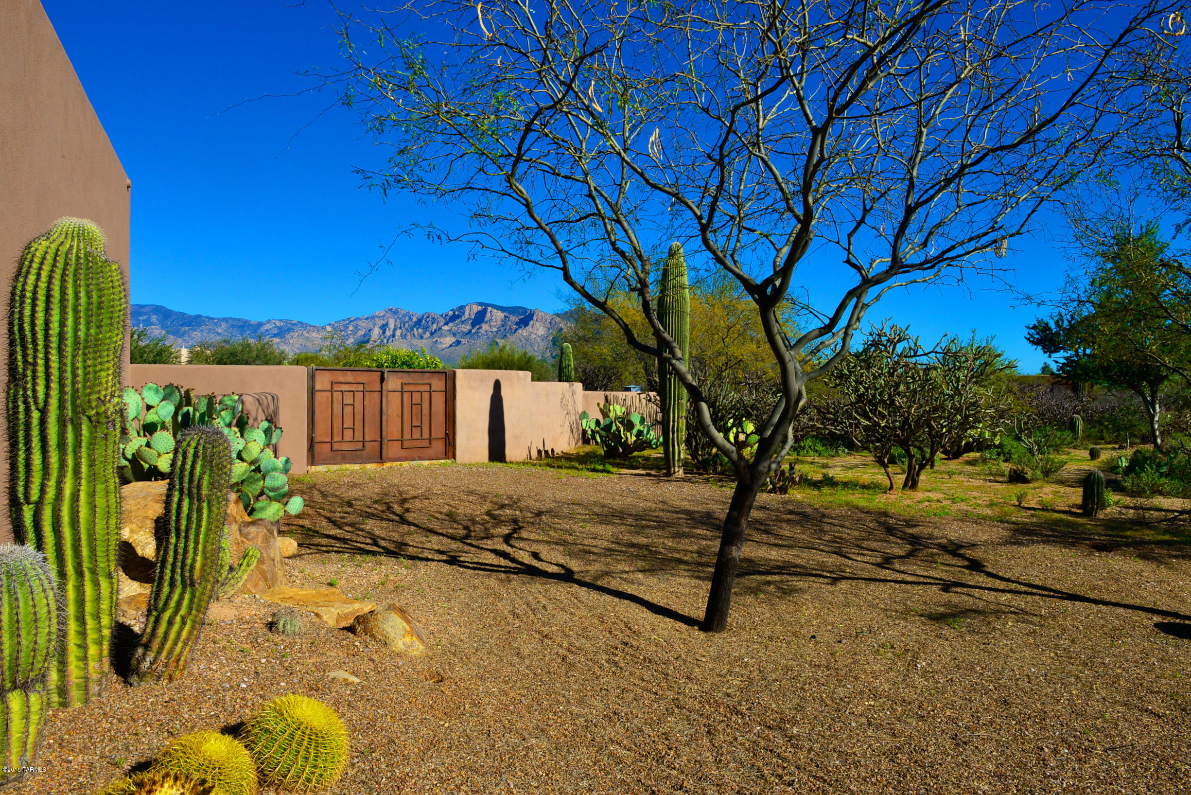 2626 W Desert Splendor Court